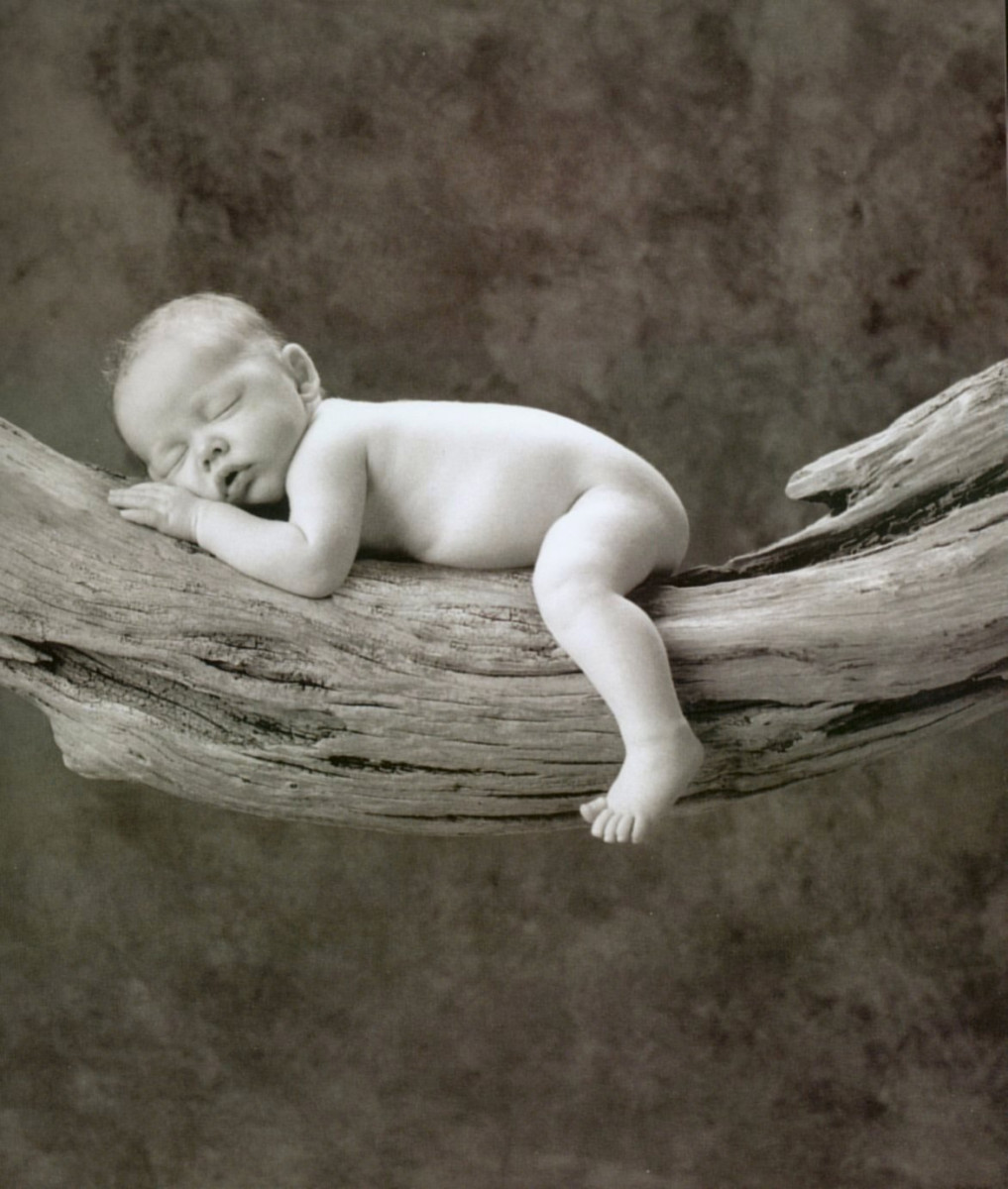 Anne Geddes: pic #11282
