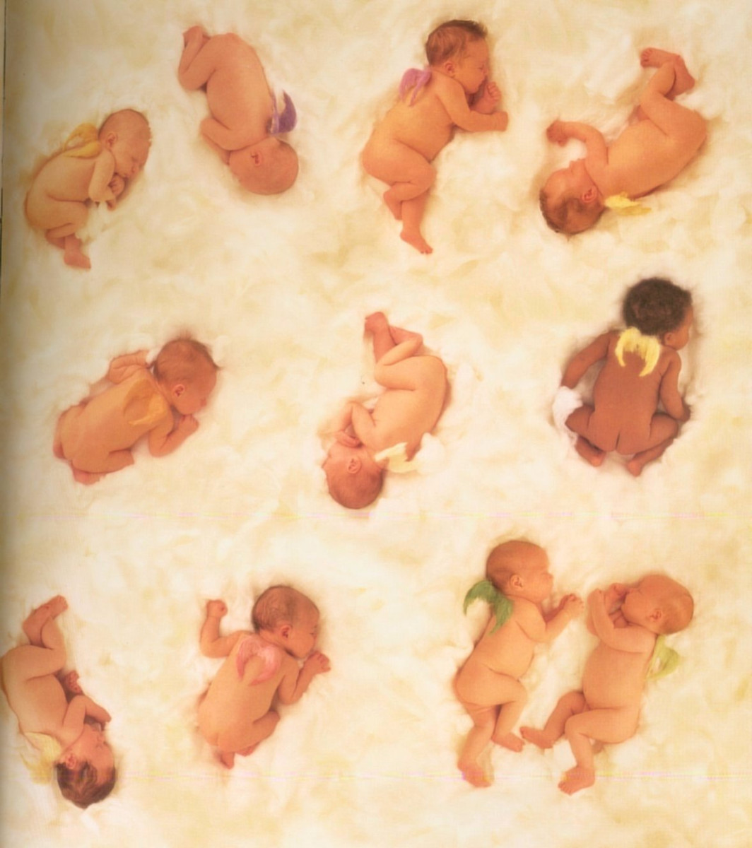 Anne Geddes: pic #11368