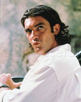 Antonio Banderas photo #