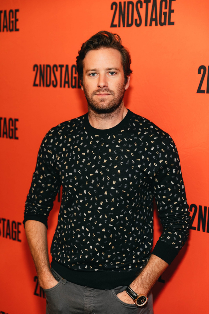 Armie Hammer: pic #1349151