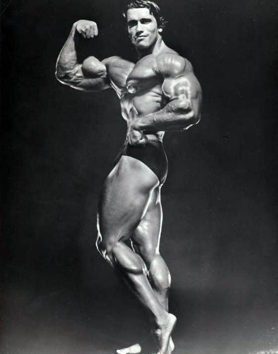 Arnold Schwarzenegger: pic #275820