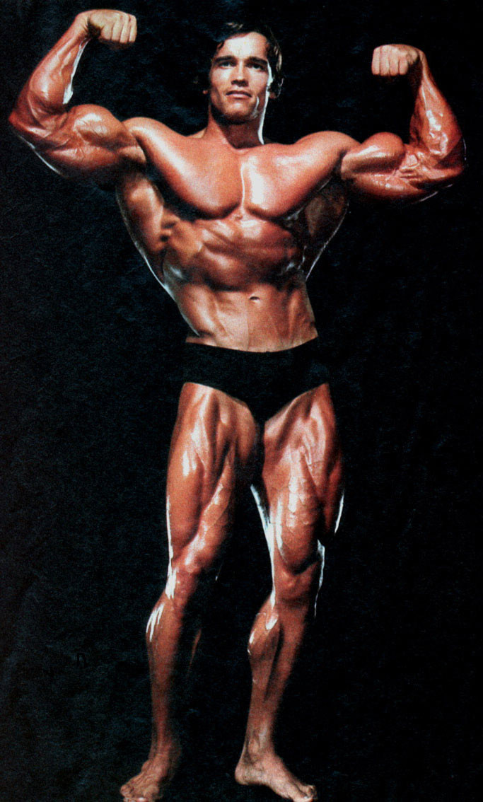 Arnold Schwarzenegger: pic #66914