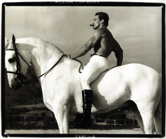 Arnold Schwarzenegger photo #