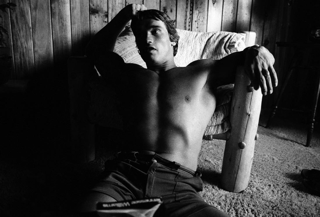 Arnold Schwarzenegger: pic #84215