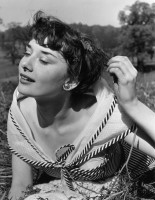 Audrey Hepburn photo #