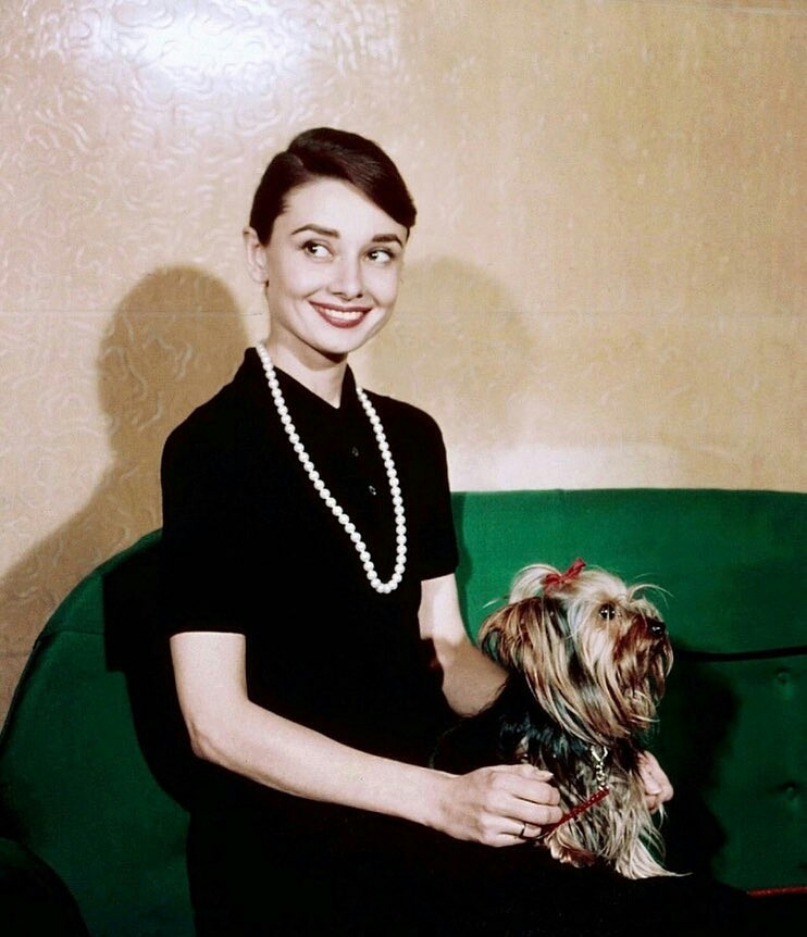 Audrey Hepburn: pic #1157121