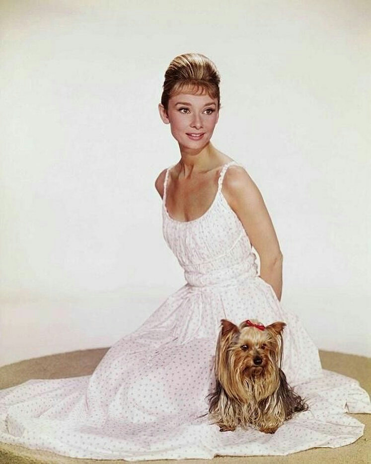 Audrey Hepburn: pic #1157215