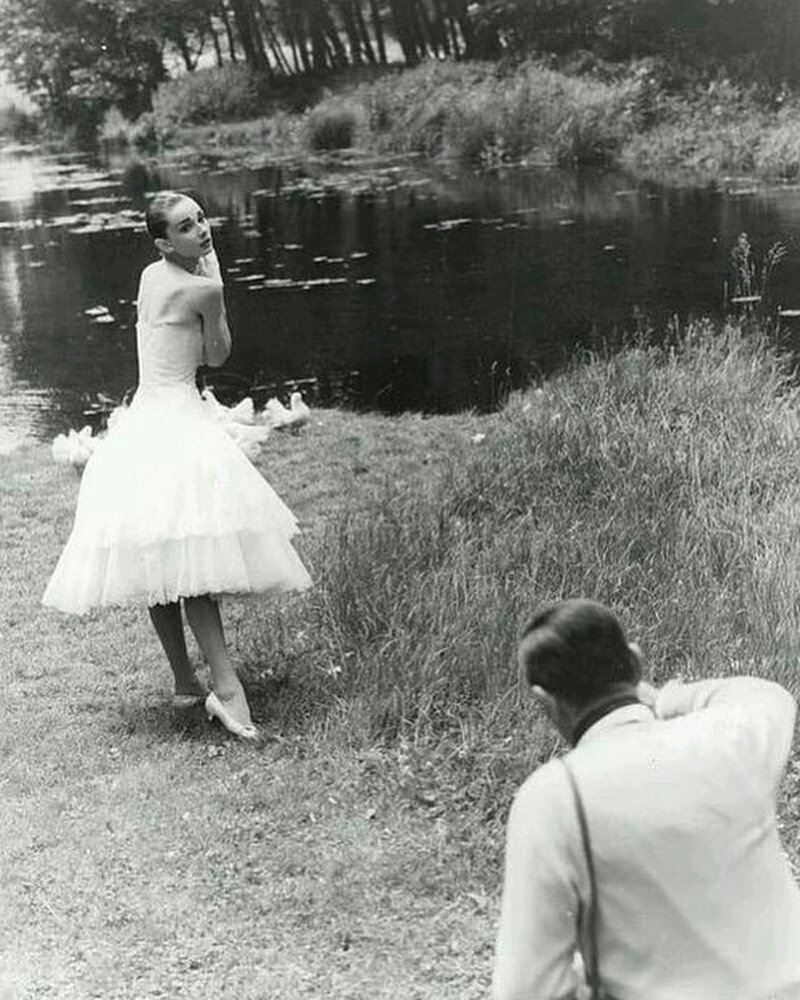 Audrey Hepburn: pic #1157187