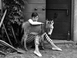 Audrey Hepburn photo #