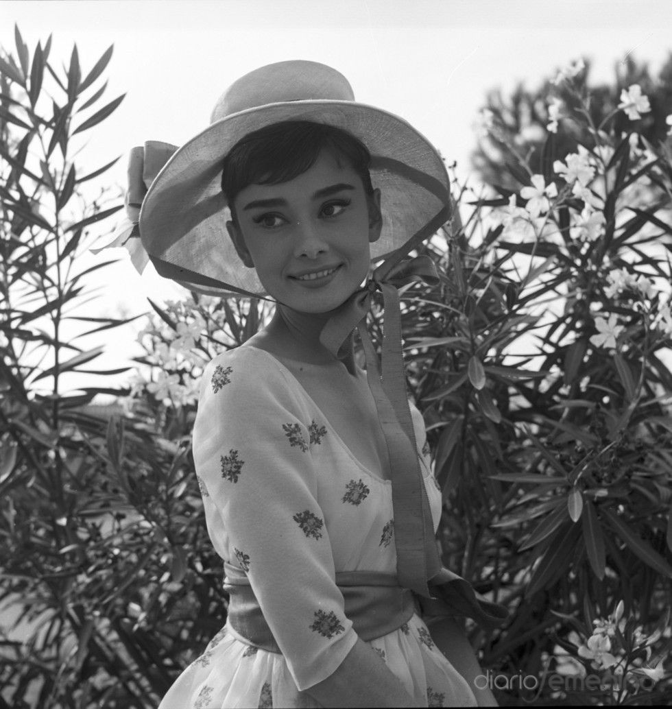 Audrey Hepburn: pic #483044