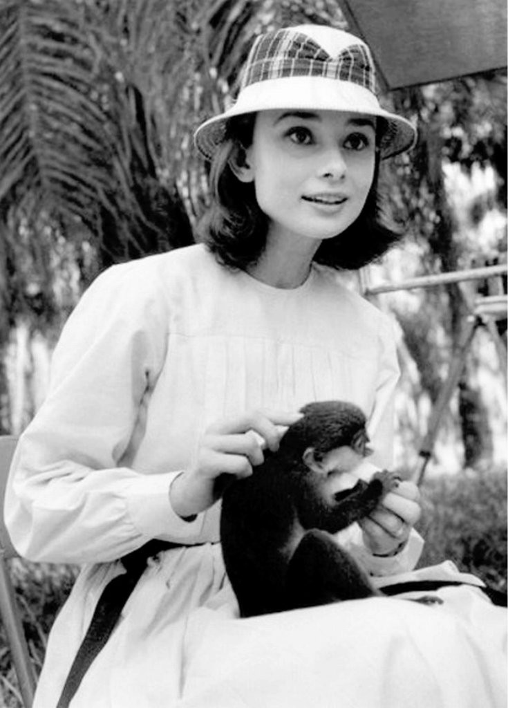 Audrey Hepburn: pic #488876