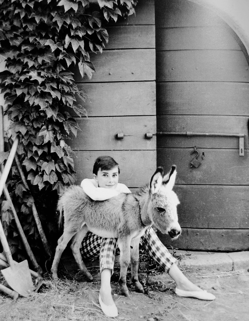 Audrey Hepburn: pic #464012