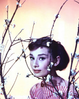 Audrey Hepburn photo #
