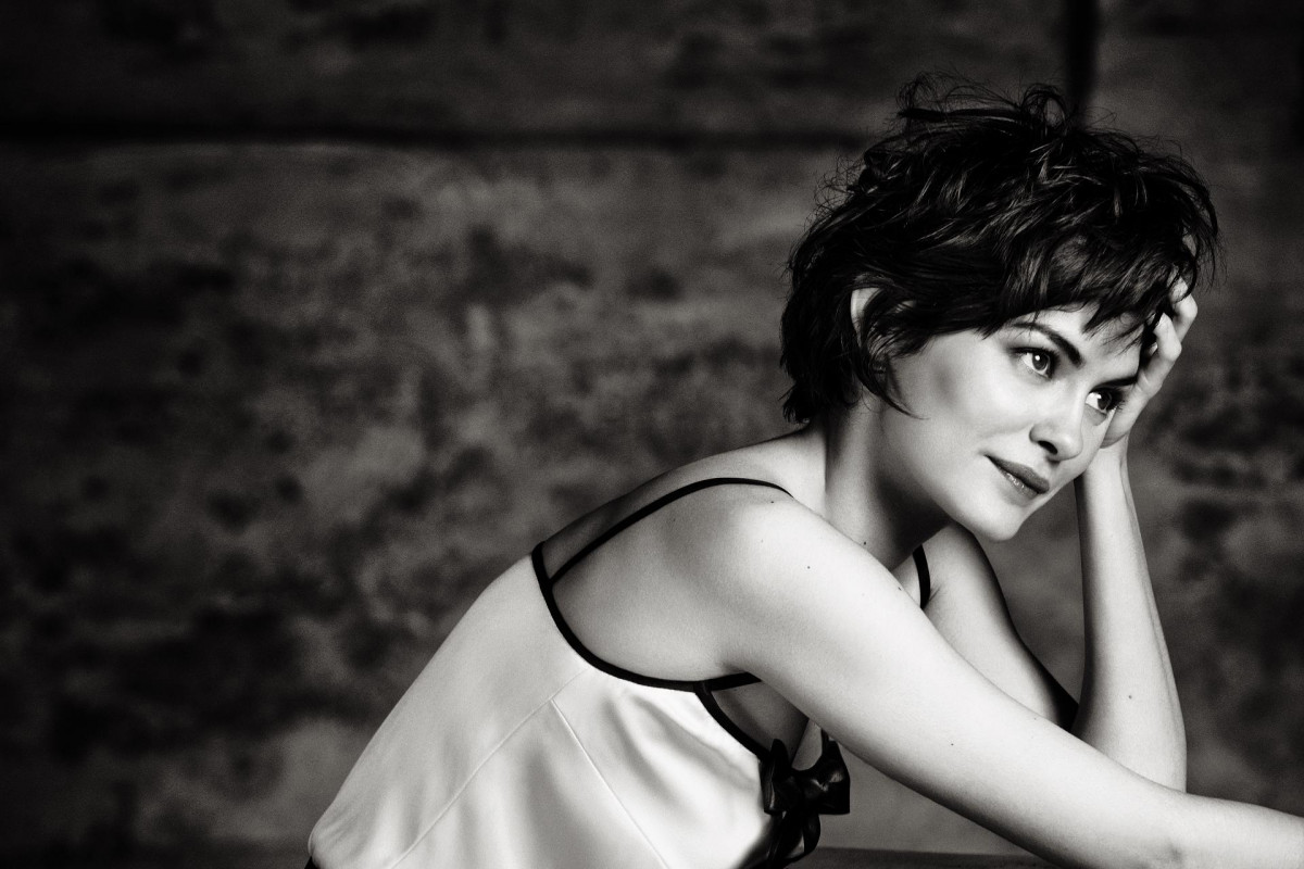 Audrey Tautou: pic #562901