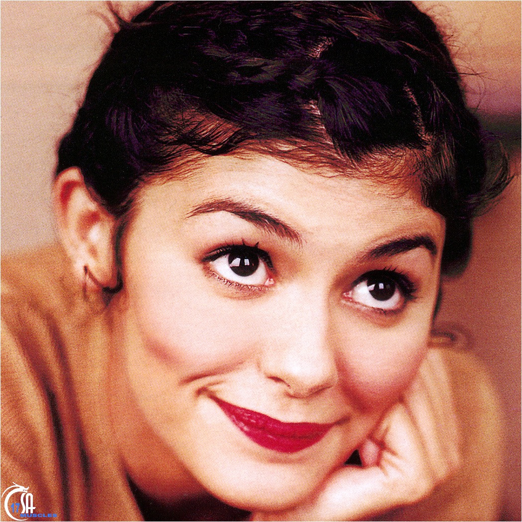 Audrey Tautou: pic #10438