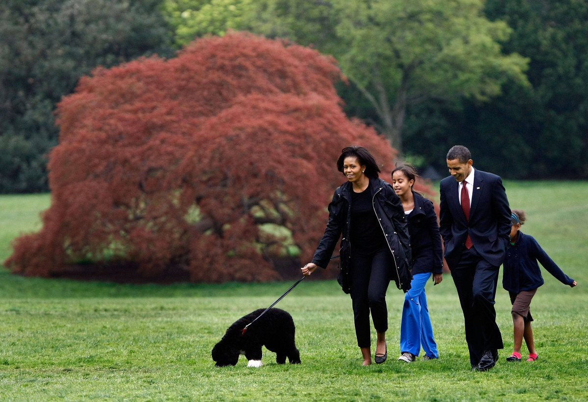 Barack Obama: pic #603783