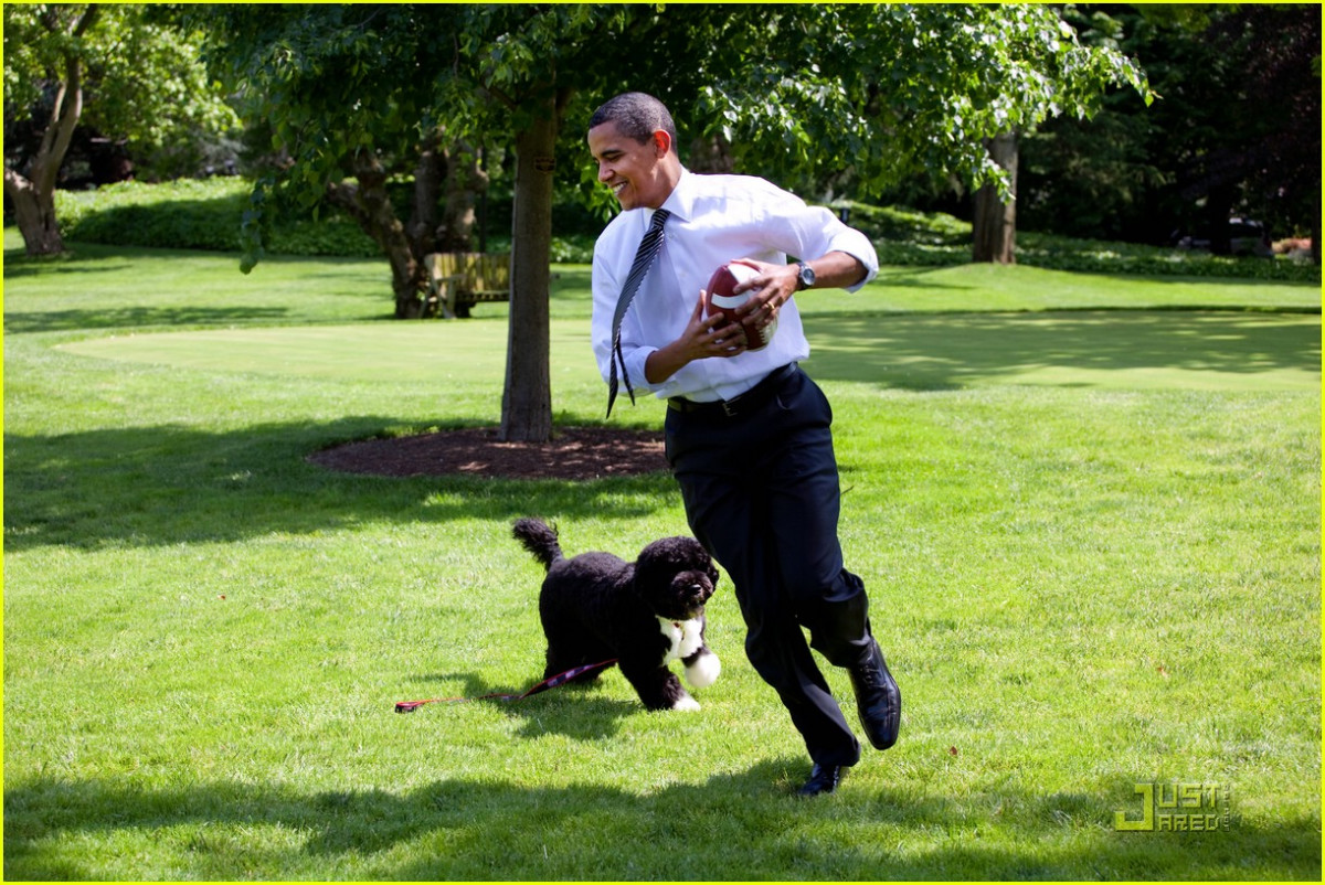 Barack Obama: pic #603782