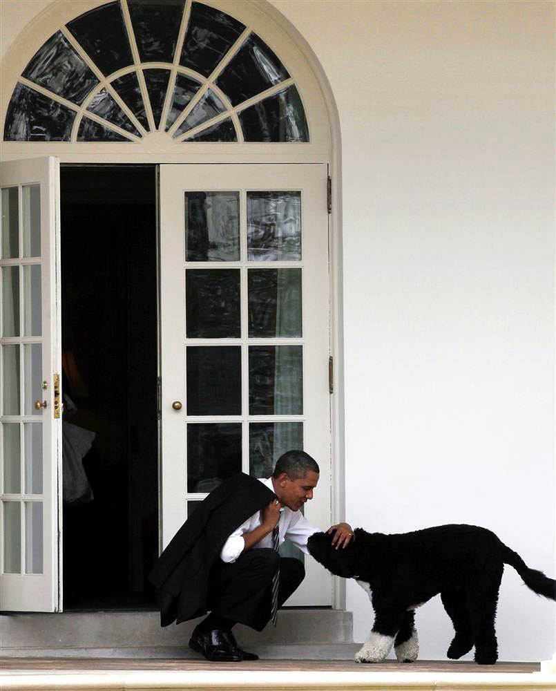 Barack Obama: pic #603787