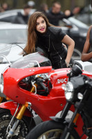 Barbara Palvin photo #