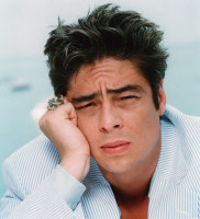 photo 22 in Benicio gallery [id91018] 2008-05-21