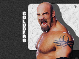 Bill Goldberg photo #