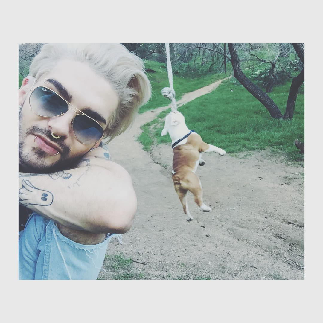 Bill Kaulitz photo #833613 