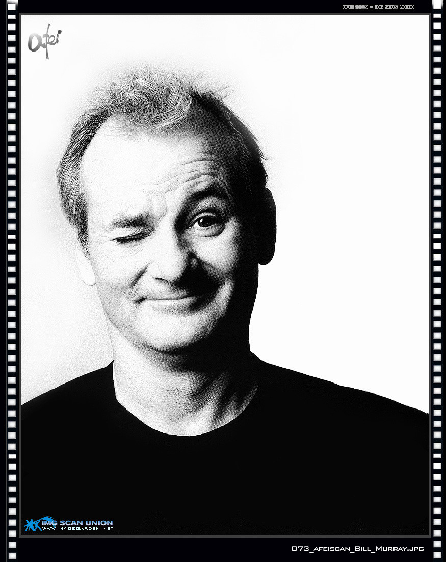 Bill Murray: pic #19218