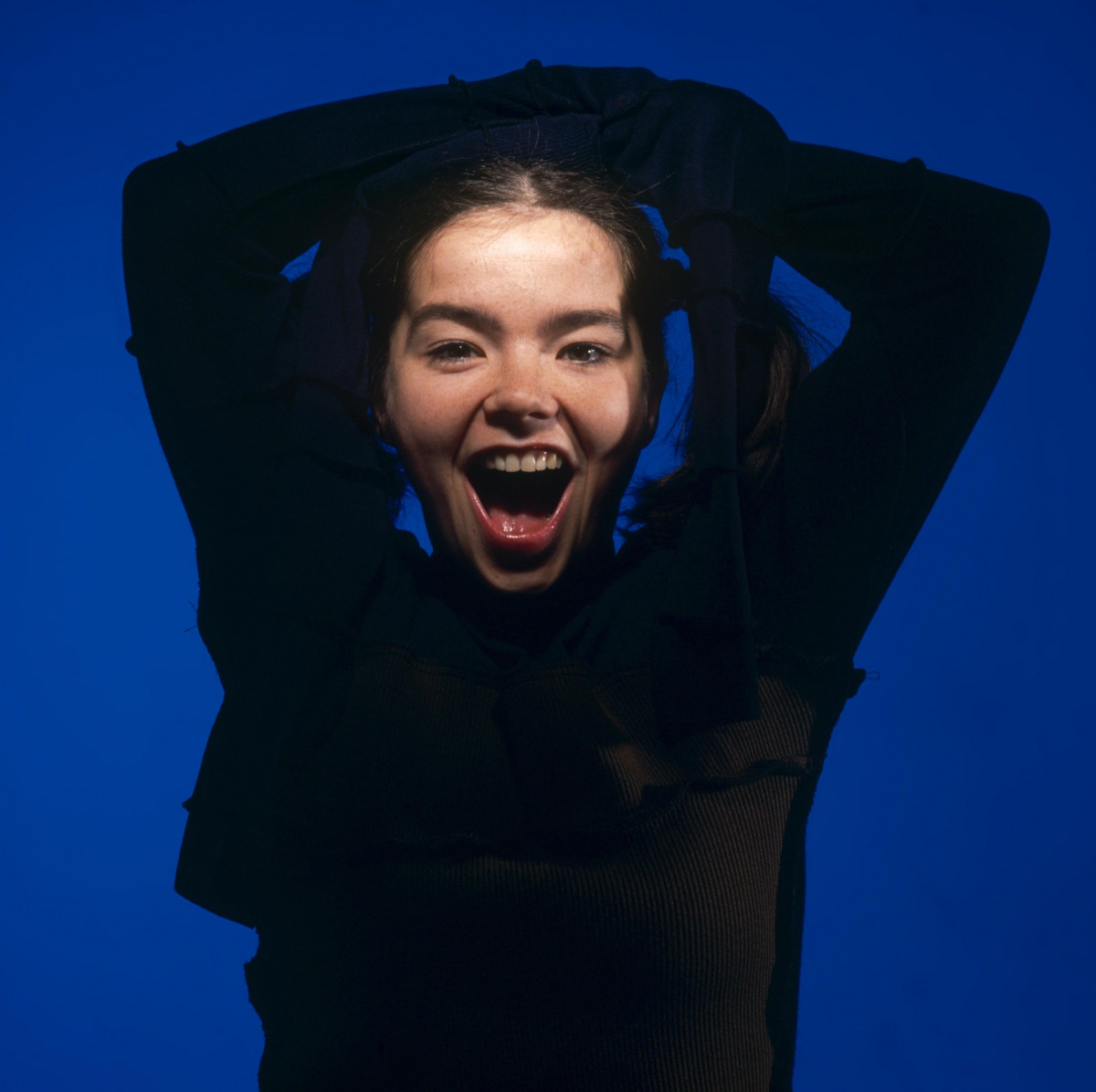 Bjork: pic #373113