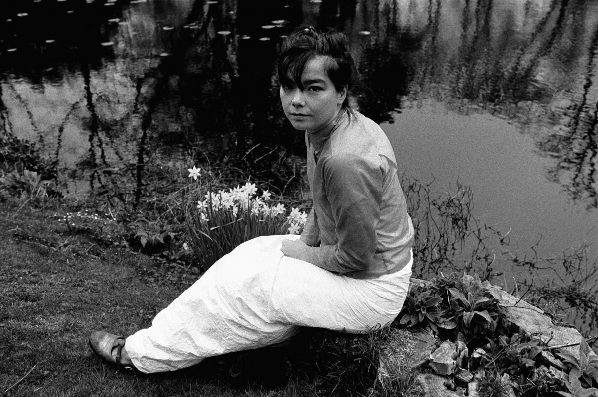 Bjork: pic #564156