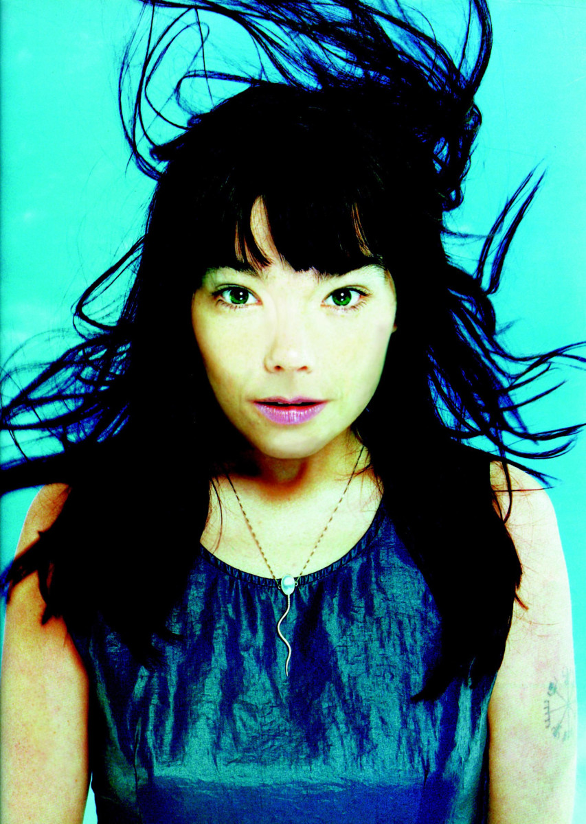 Bjork: pic #17391