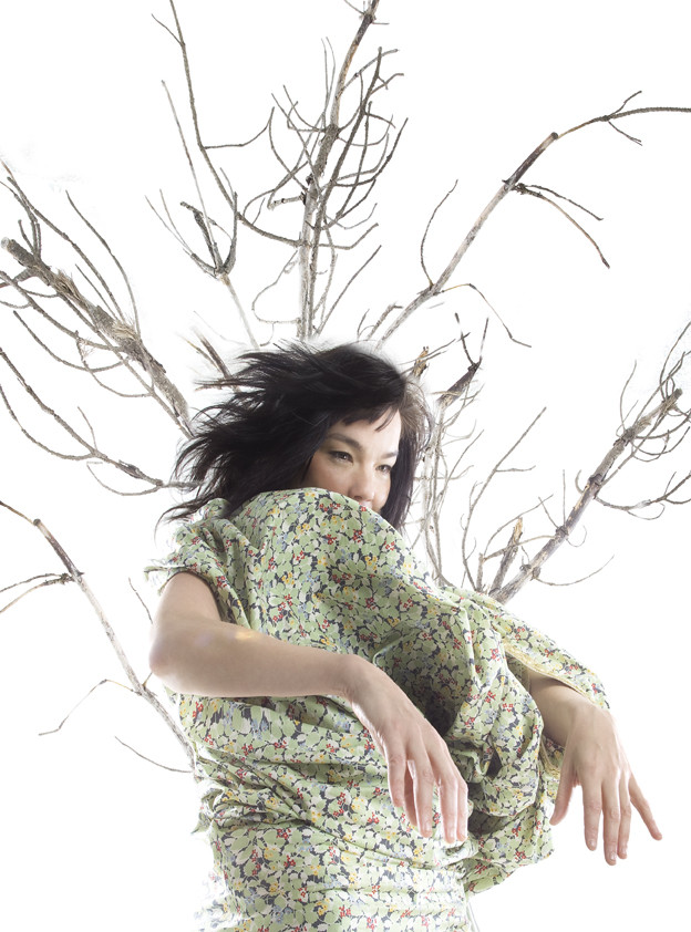 Bjork: pic #190599