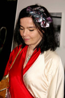 Bjork photo #