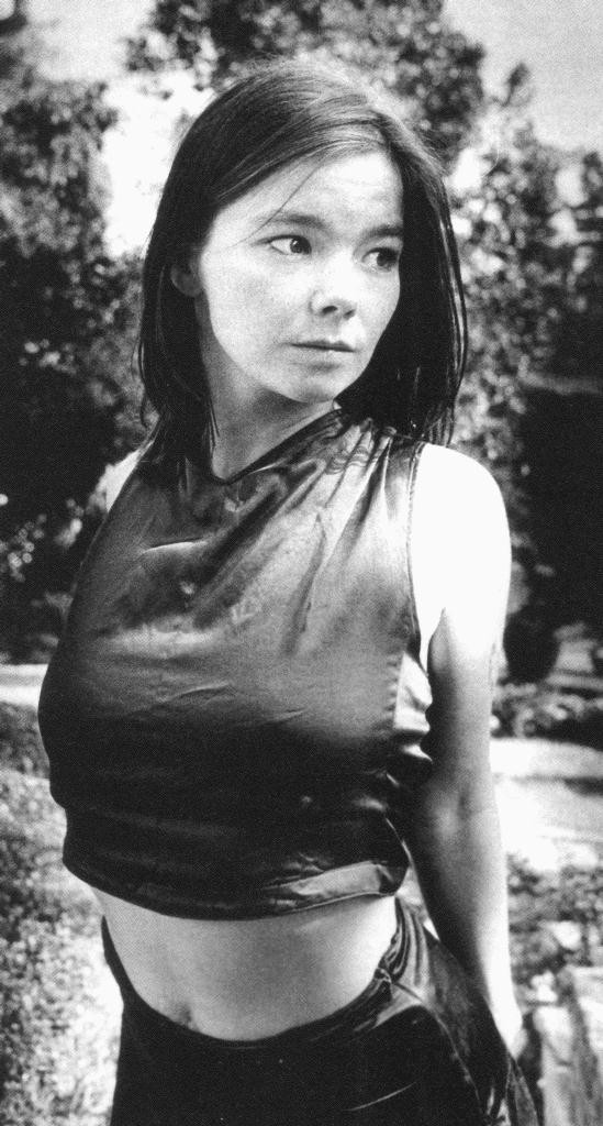 Bjork: pic #13624