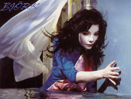 Bjork photo #