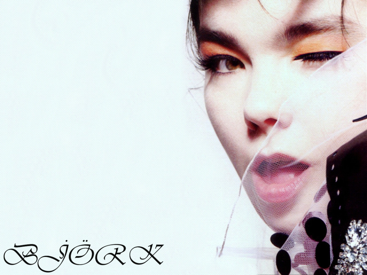 Bjork: pic #66368