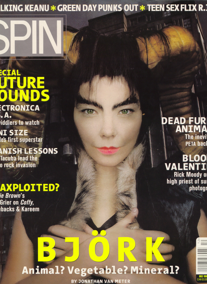 Bjork: pic #345153