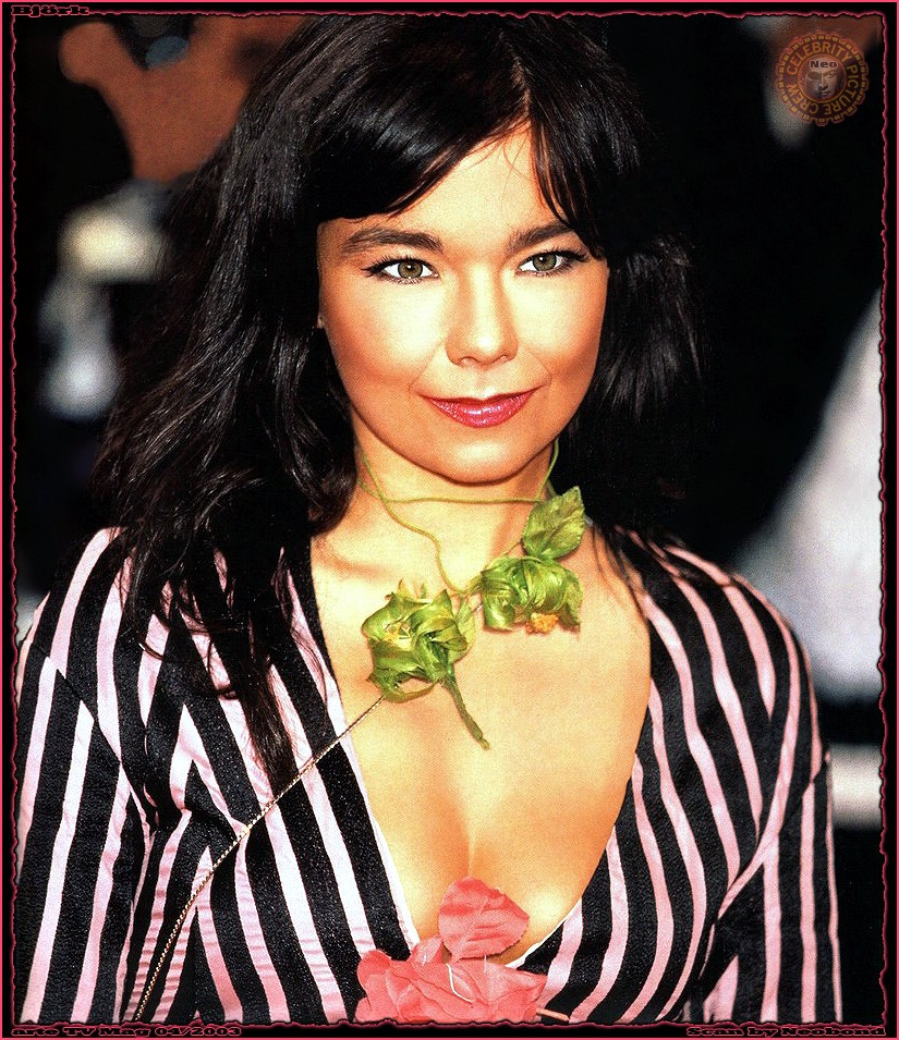 Bjork: pic #5092