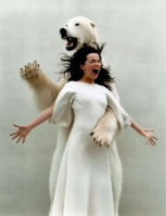 Bjork photo #