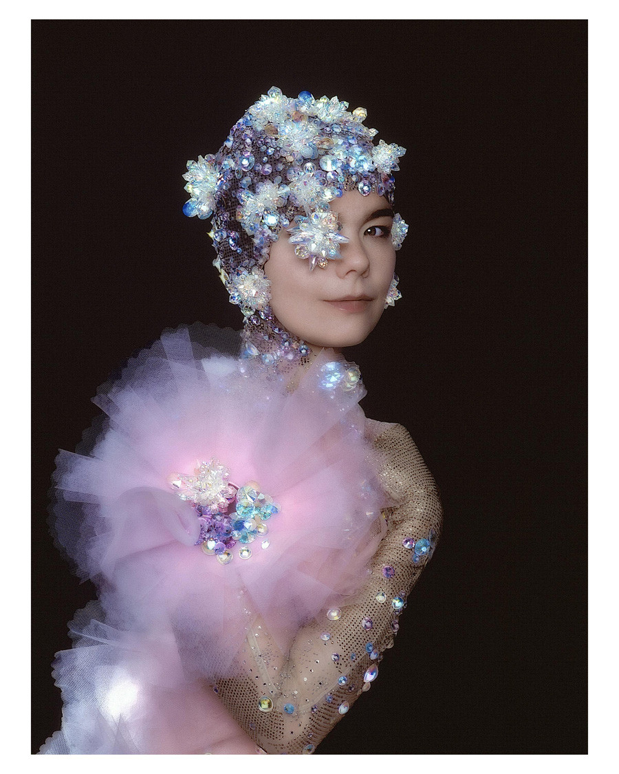 Bjork: pic #109351