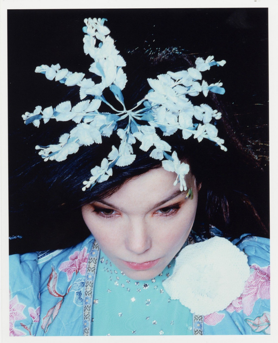 Bjork: pic #69144