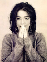 photo 13 in Bjork gallery [id13619] 0000-00-00