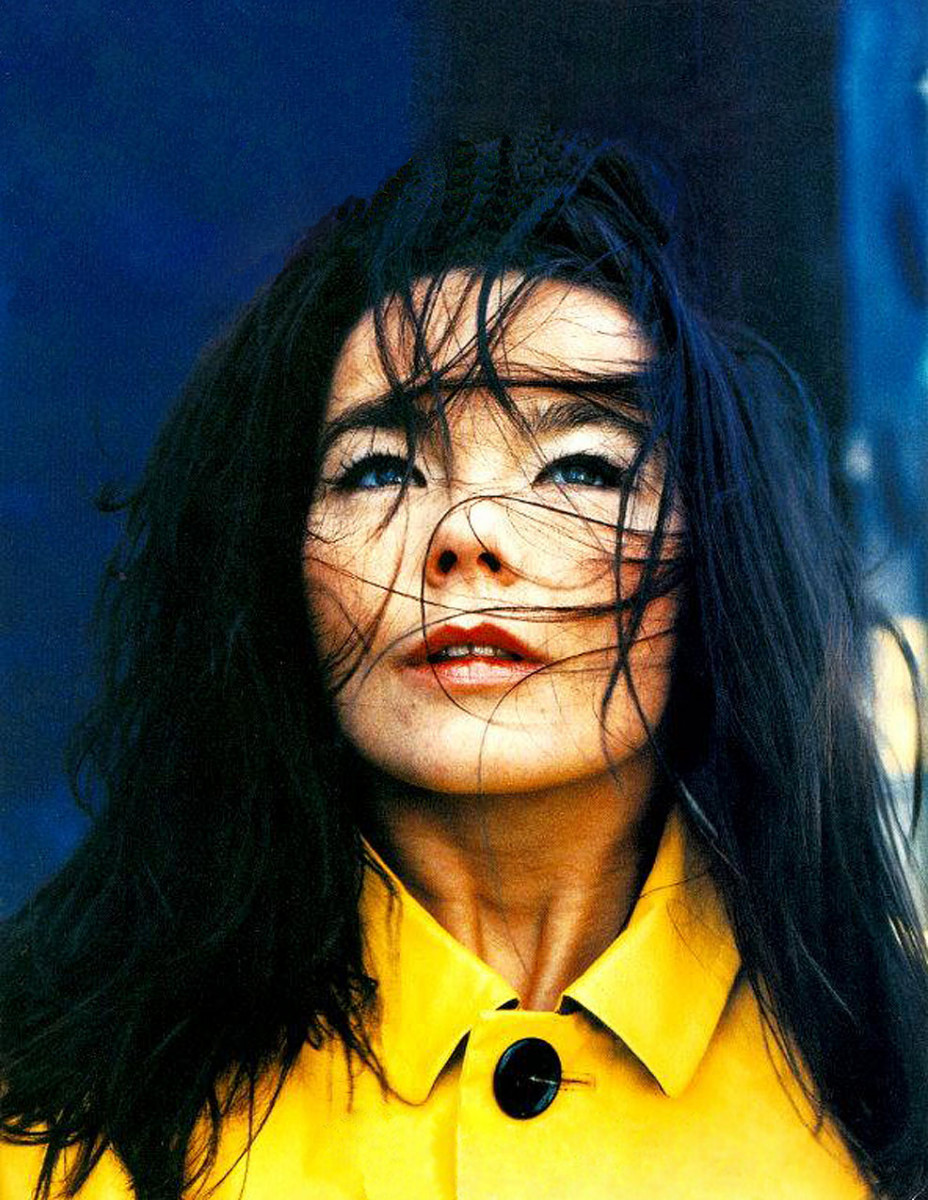 Bjork: pic #13620