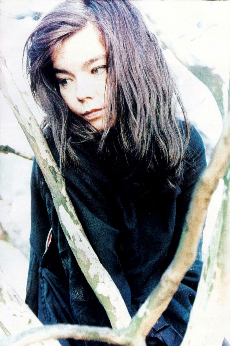 Bjork: pic #13605