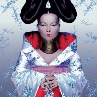 Bjork photo #