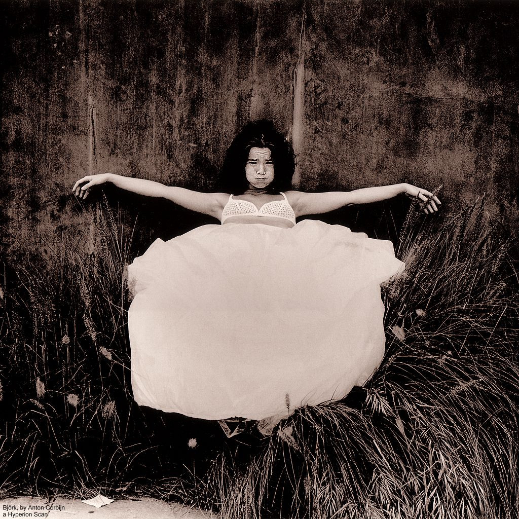 Bjork: pic #58240