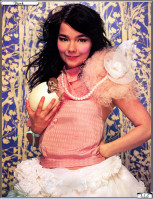 Bjork photo #