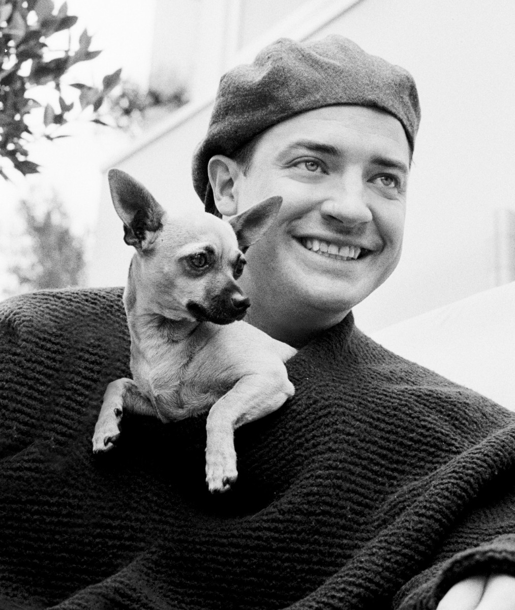 Brendan Fraser: pic #222371