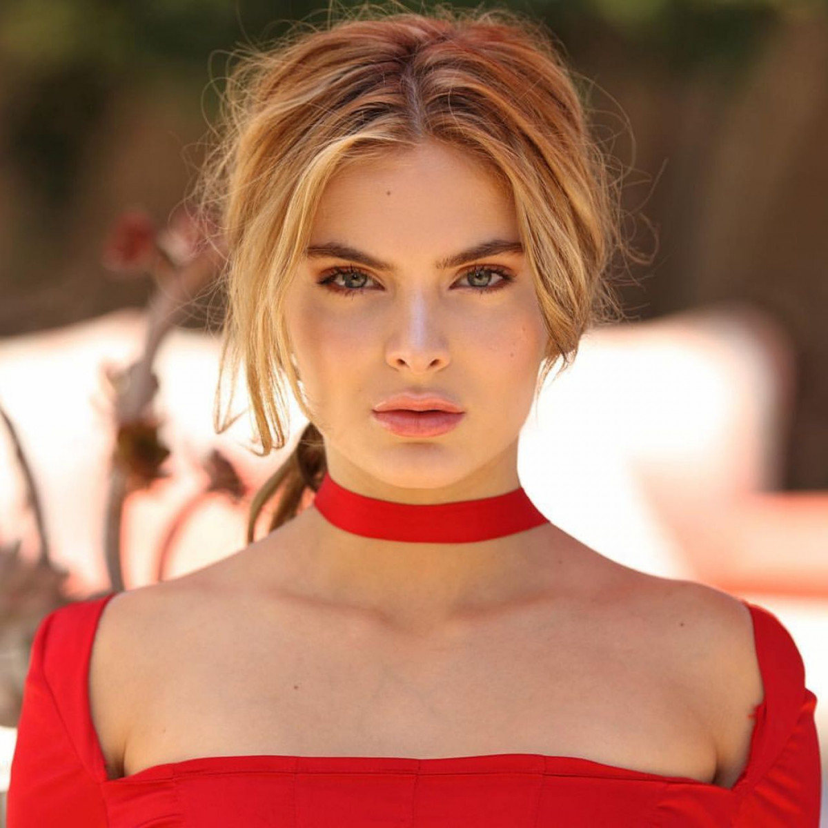 Brighton Sharbino: pic #1070401