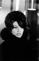 photo 15 in Brigitte Bardot gallery [id479364] 2012-04-23