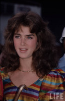 Brooke Shields photo #